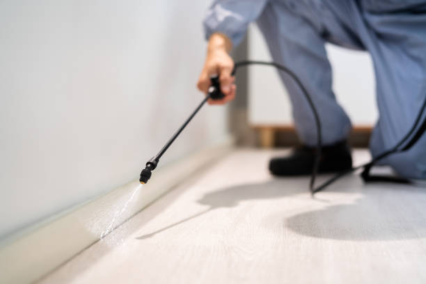 Licensed Cockroach Control service in Fairhope, AL - Nex Pest Control
