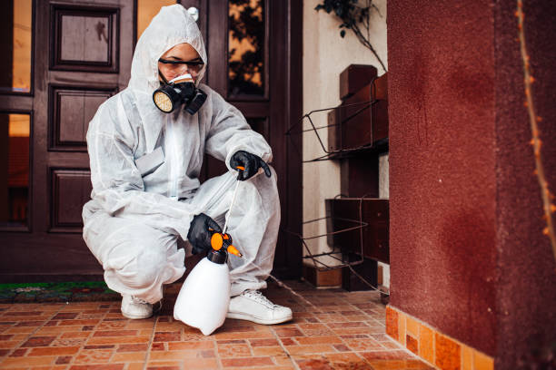 Reliable Cockroach Control contractor in Fairhope, AL by Nex Pest Control